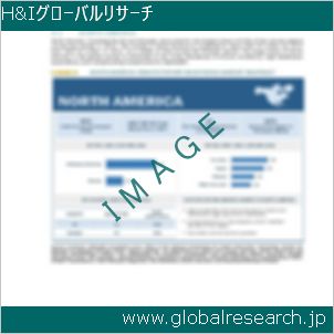 グローバルリサーチ調査レポートのイメージ